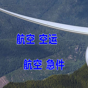 太平航空快递快递-选东方航空和上海航空