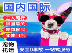 太平航空快递国际宠物托运 【国